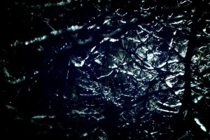 世界短跑科研成果产业化：训练器材与软件结合推广应用，短跑世界前十