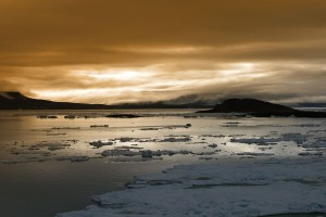 世界拳击锦标赛赛后医务数据公开引行业关注，世界拳击联赛