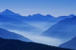 世界田径赛事数据可视化平台的构建经验分享，世界田径比赛记录